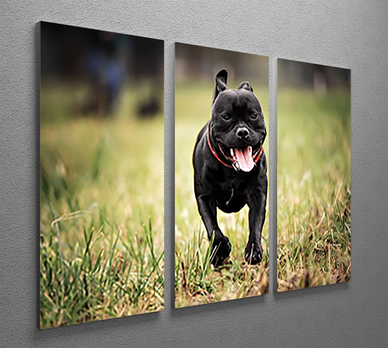 A beautiful 3-panel canvas art featuring an English Staffordshire Bull Terrier running on a road, showcasing vibrant colors and dynamic design.