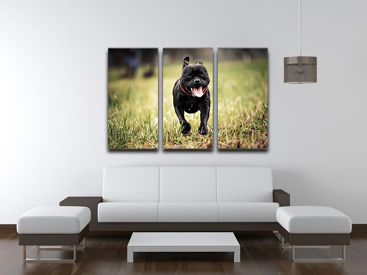 A beautiful 3-panel canvas art featuring an English Staffordshire Bull Terrier running on a road, showcasing vibrant colors and dynamic design.