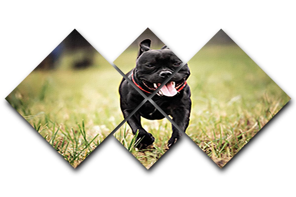 A vibrant 4-square canvas artwork featuring an English Staffordshire Bull Terrier running on a road, showcasing its playful spirit.