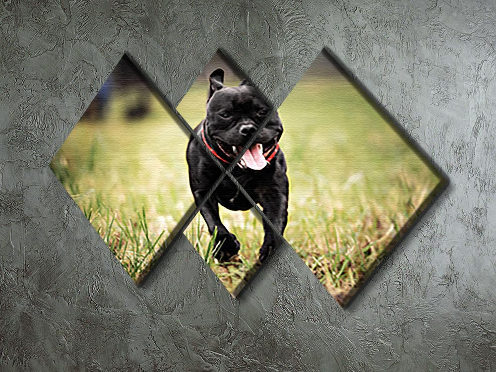 A vibrant 4-square canvas artwork featuring an English Staffordshire Bull Terrier running on a road, showcasing its playful spirit.