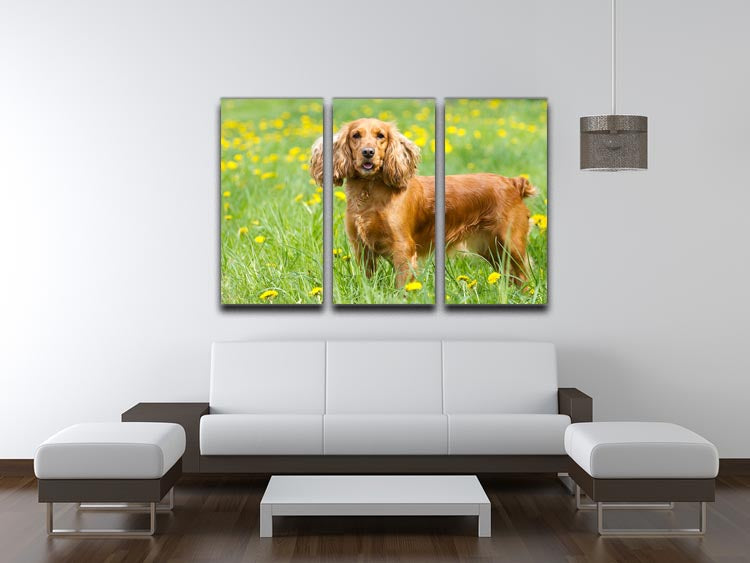 A beautiful 3-panel canvas print featuring an English Cocker Spaniel on the grass, showcasing vibrant colors and a captivating design.