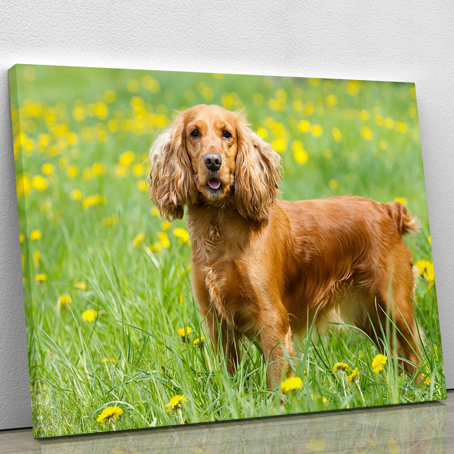 A beautiful canvas print of an English Cocker Spaniel sitting on lush green grass, showcasing its playful and friendly nature.