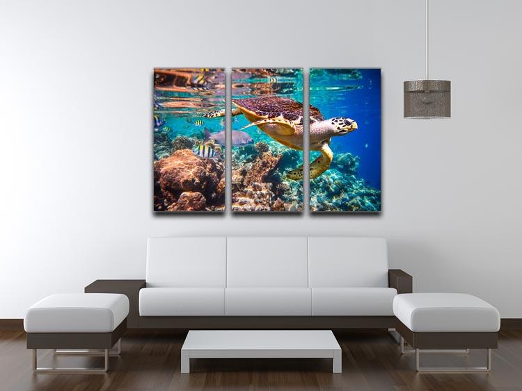 Eretmochelys imbricata 3 Split Panel Canvas Print featuring vibrant marine life artwork on three canvases.