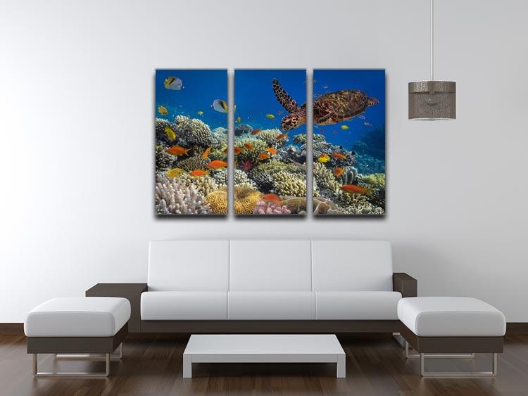 Eretmochelys imbricata 3-panel canvas print featuring a vibrant underwater scene with a hawksbill sea turtle.