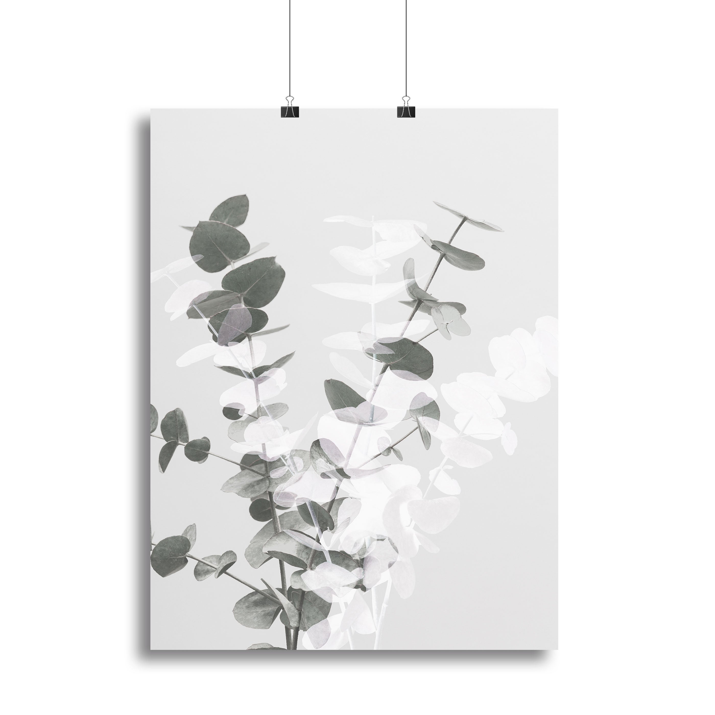 Eucalyptus Creative 08 Canvas Print showcasing elegant eucalyptus leaves in a modern design, perfect for home or office decor.