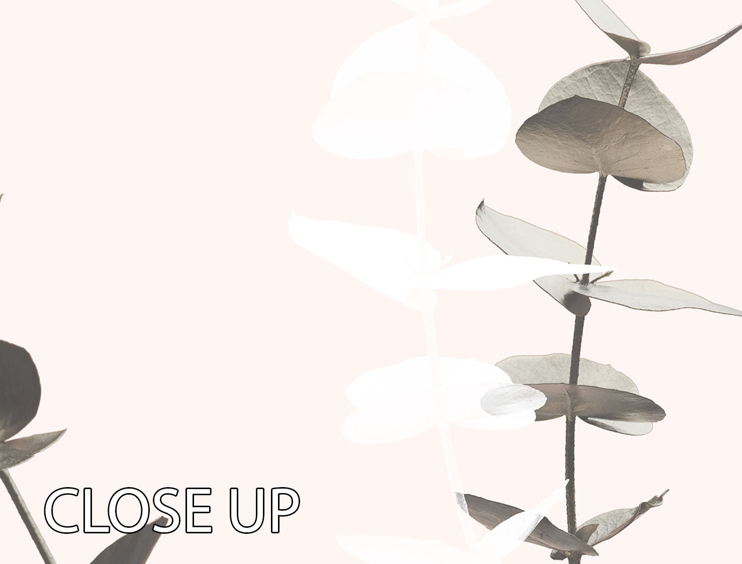 Eucalyptus Creative 12 3 Split Panel Canvas Print showcasing vibrant nature scenes in a modern design.