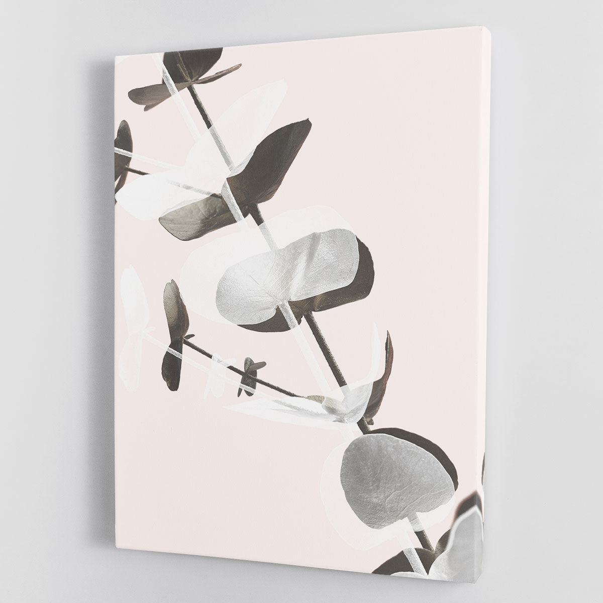 Eucalyptus Creative 13 Canvas Print featuring vibrant colors and modern design, perfect for home or office decor.