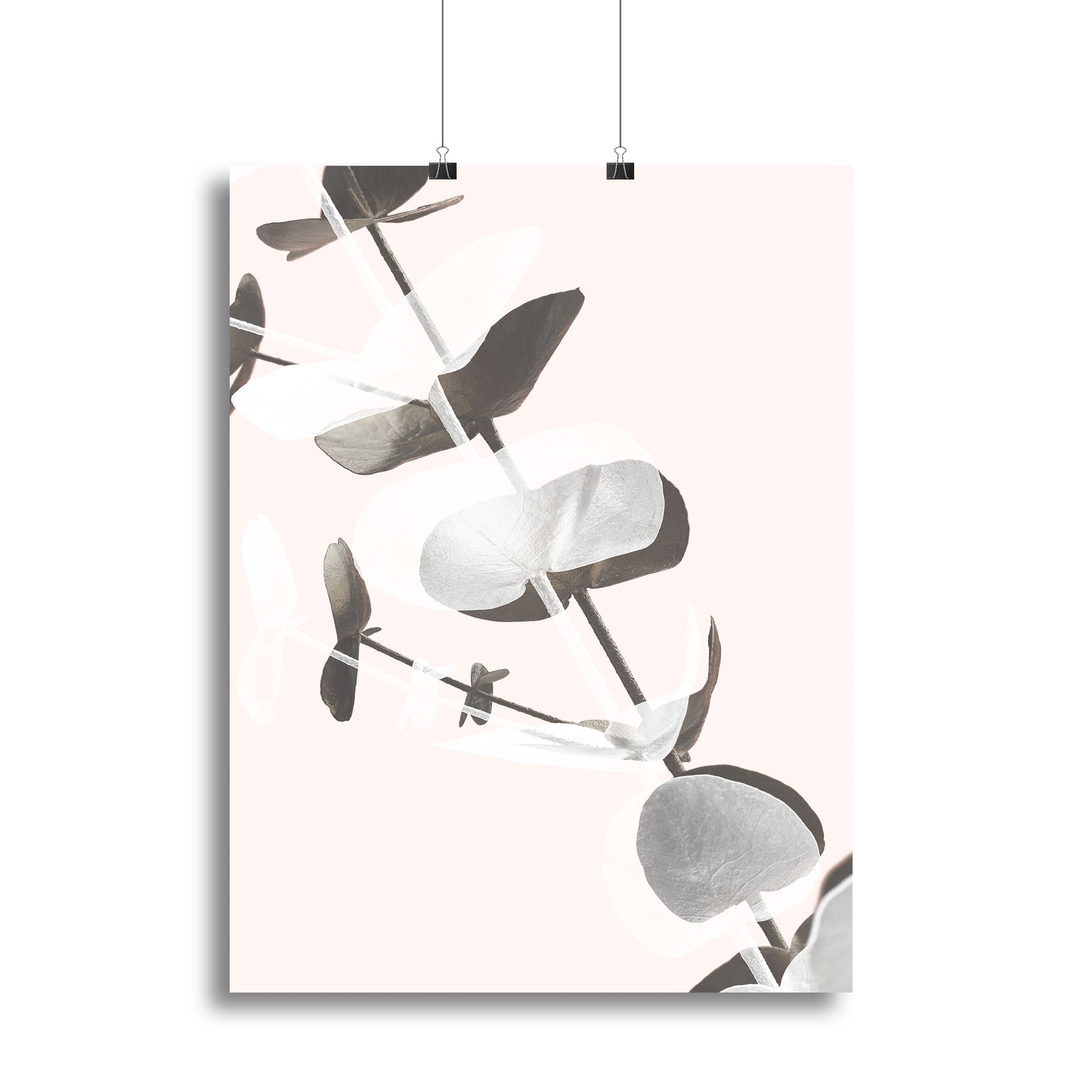 Eucalyptus Creative 13 Canvas Print featuring vibrant colors and modern design, perfect for home or office decor.