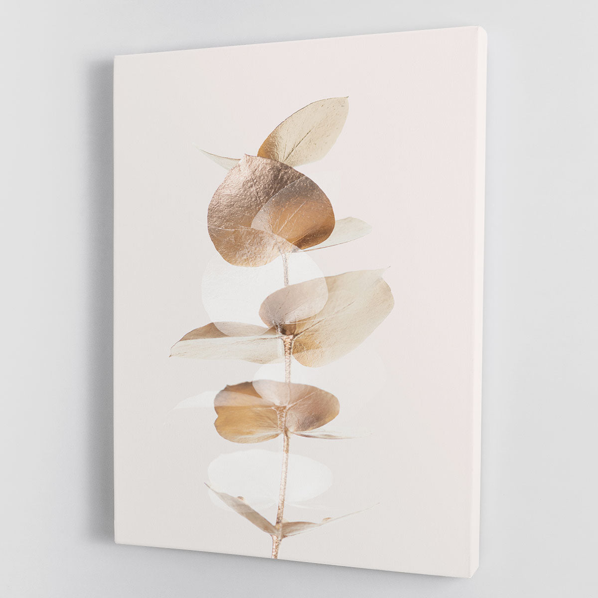 Eucalyptus Creative Gold 04 Canvas Print showcasing vibrant colors and intricate details, perfect for home or office decor.