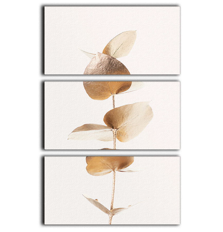 Eucalyptus Gold No 06 3 Split Panel Canvas Print showcasing elegant design and vibrant colors.