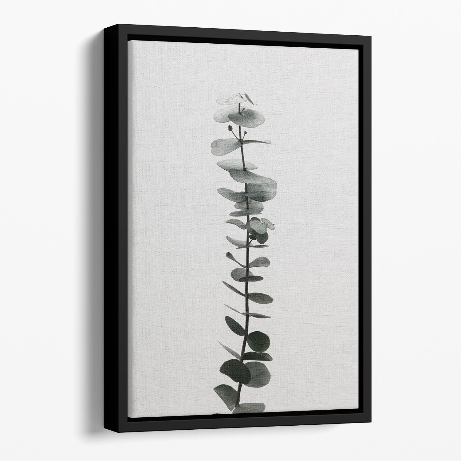 Eucalyptus Natural 02 Floating Framed Canvas showcasing vibrant abstract eucalyptus design in a sleek wooden frame.