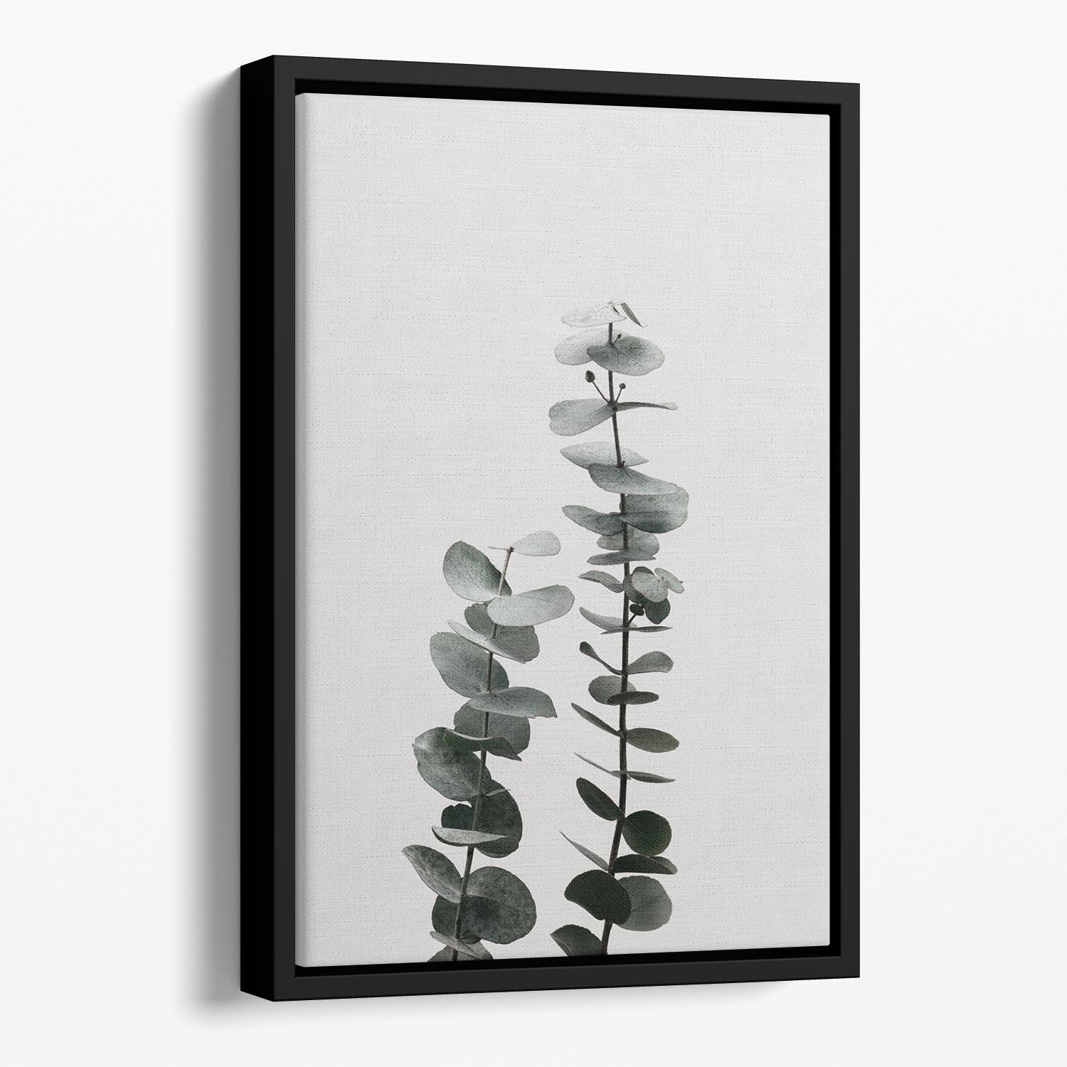 Eucalyptus Natural 03 Floating Framed Canvas art piece with vibrant colors and elegant wooden frame.