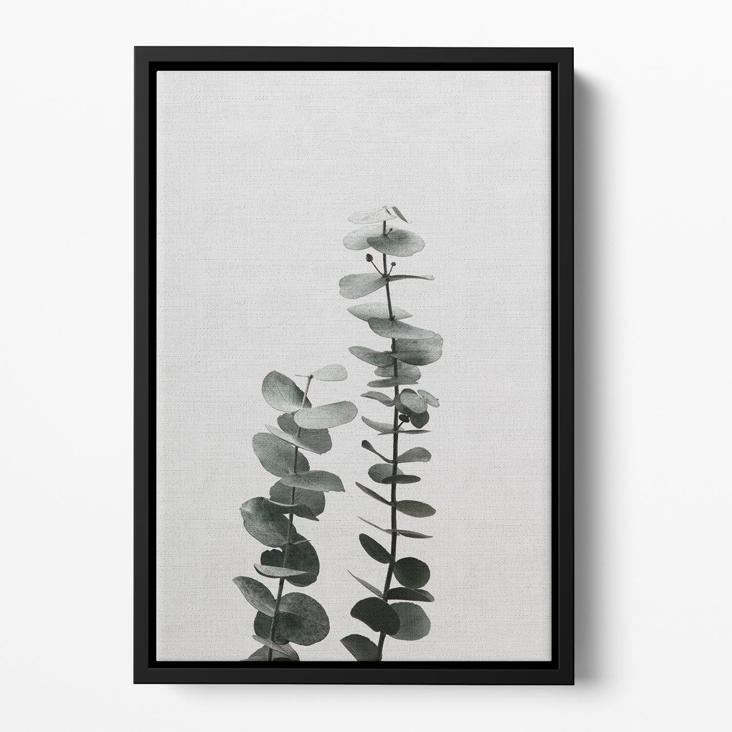 Eucalyptus Natural 03 Floating Framed Canvas art piece with vibrant colors and elegant wooden frame.