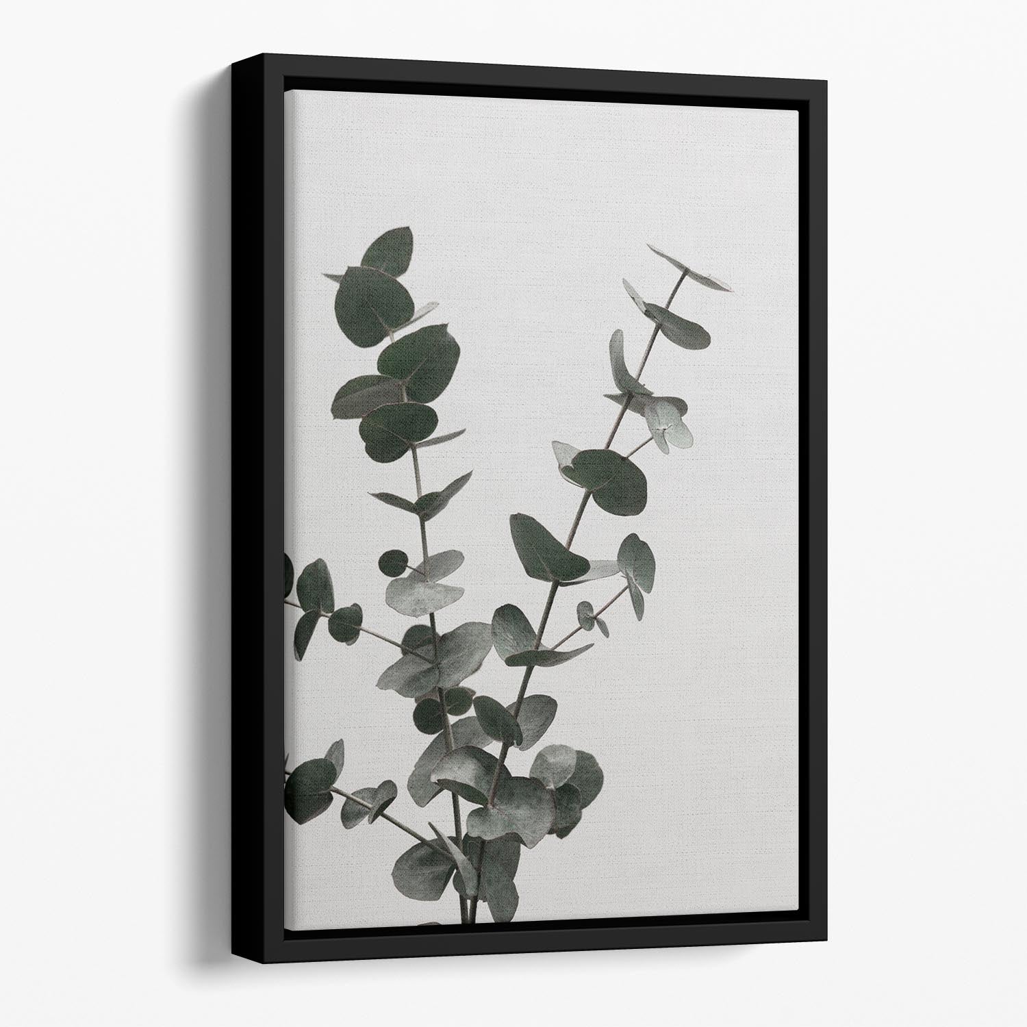 Eucalyptus Natural 04 Floating Framed Canvas showcasing vibrant abstract eucalyptus design in a handcrafted wooden frame.