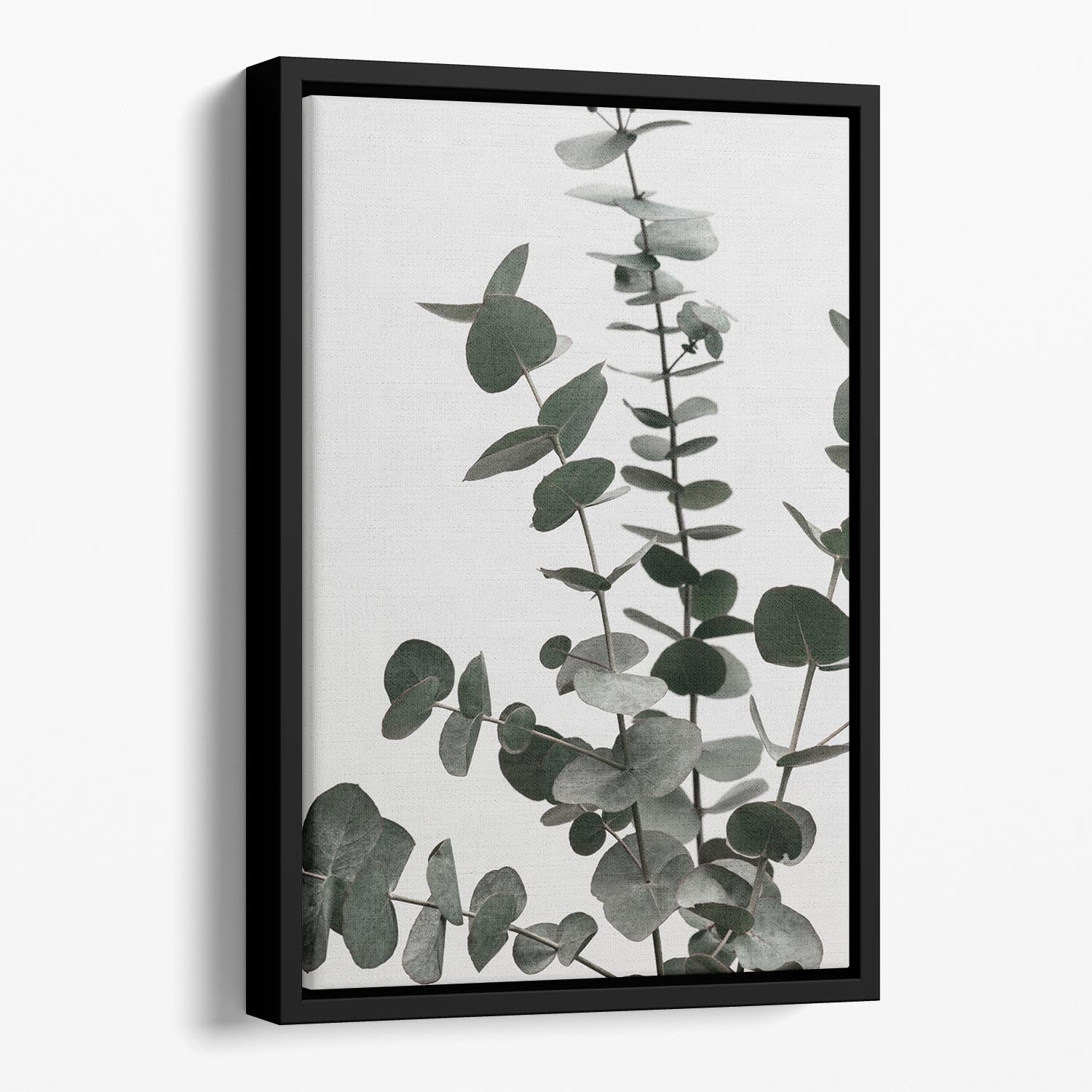 Eucalyptus Natural 07 Floating Framed Canvas featuring an abstract eucalyptus design in a handcrafted wooden frame.