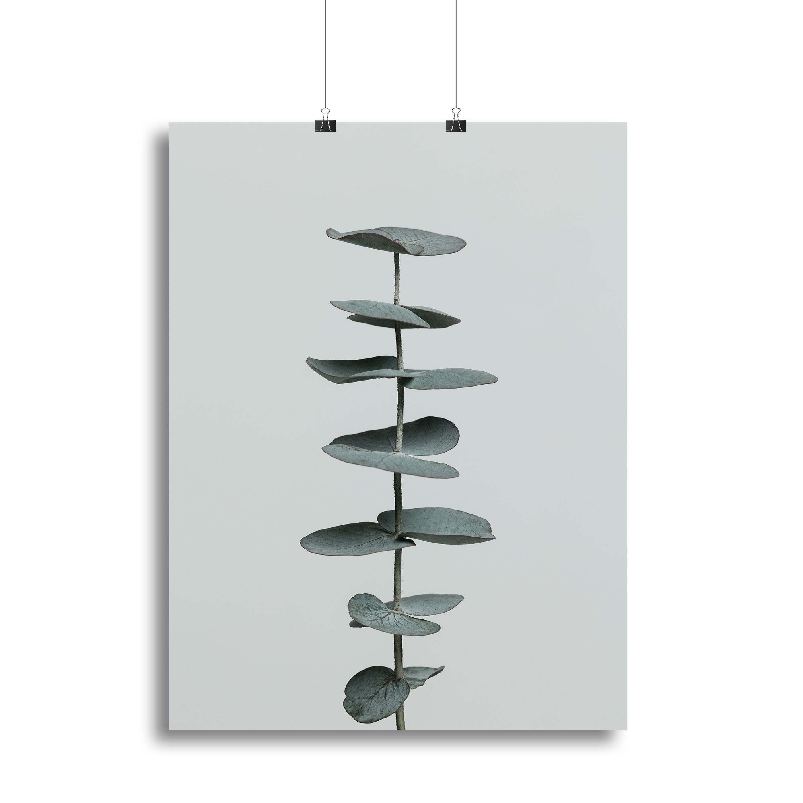 Eucalyptus Natural 09 Canvas Print featuring detailed eucalyptus leaves on a high-quality canvas, perfect for home decor.