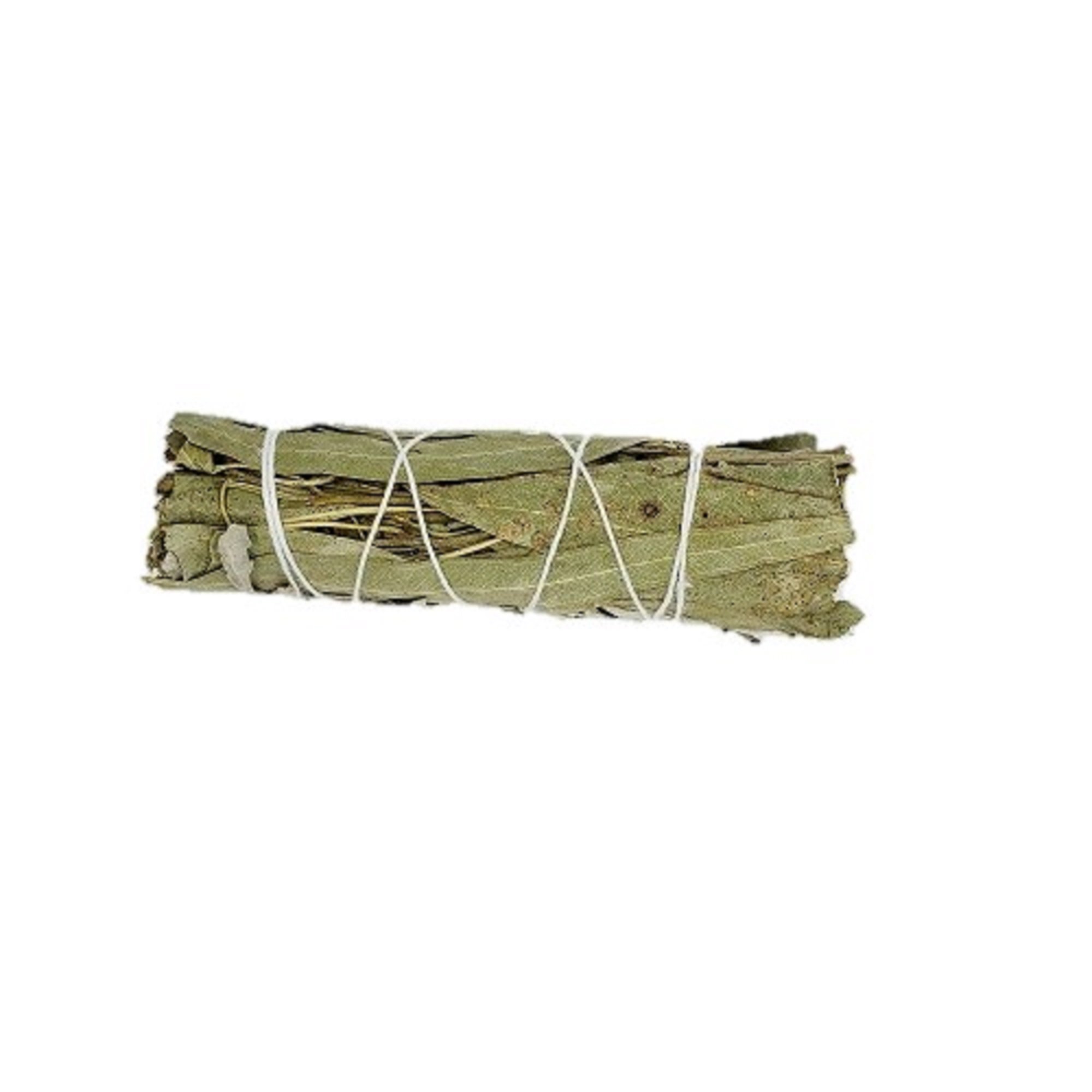 Eucalyptus smudging bundle measuring 3 to 4 inches long, showcasing dried eucalyptus leaves tied together for cleansing rituals.
