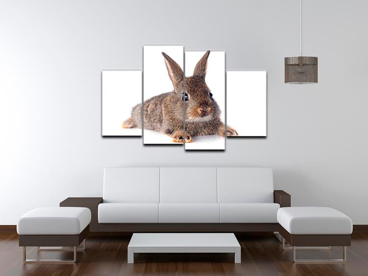 A beautiful 4 split panel canvas featuring a European rabbit, showcasing intricate details and vibrant colors against a white background.