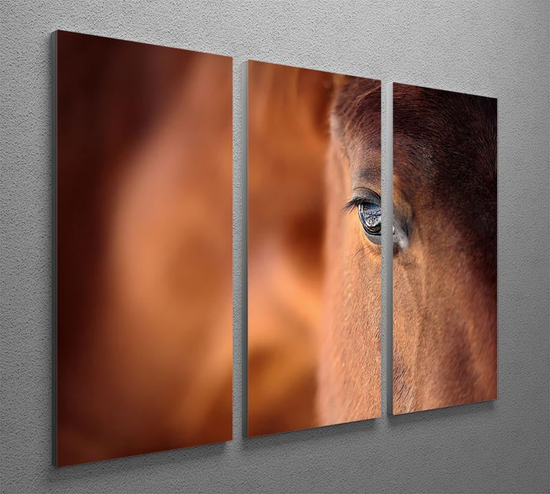 A stunning 3-panel canvas print featuring the Eye of an Arabian bay horse, showcasing intricate details and vibrant colors.