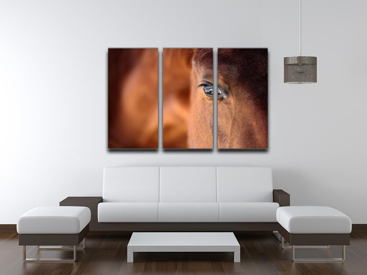 A stunning 3-panel canvas print featuring the Eye of an Arabian bay horse, showcasing intricate details and vibrant colors.