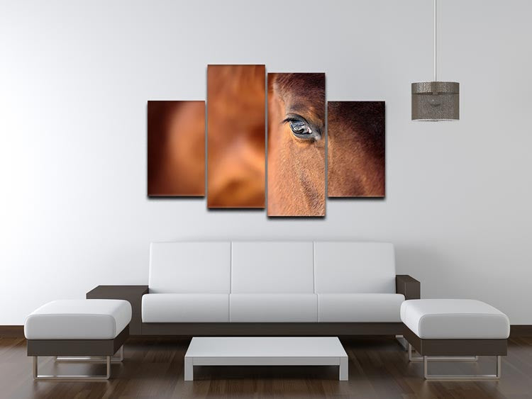 A beautiful 4-split canvas artwork featuring the eye of an Arabian bay horse, showcasing rich colors and intricate details.