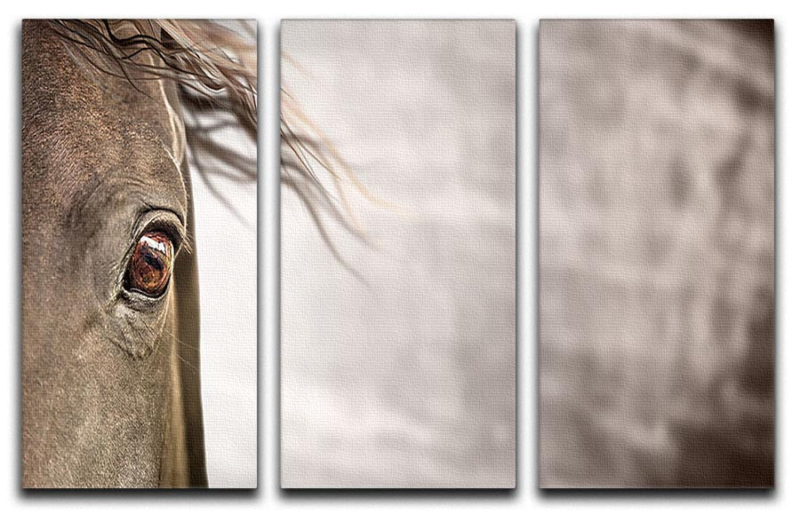 Eye of Horse 3 Split Panel Canvas Print showcasing three panels of captivating horse imagery, perfect for enhancing home decor.