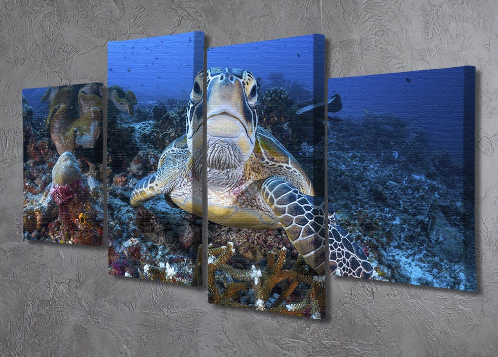 A stunning 4-split canvas artwork featuring a green turtle, showcasing vibrant colors and intricate details across four panels.