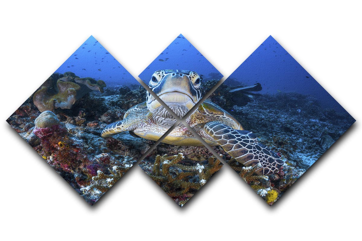 A beautiful multi-panel canvas artwork featuring a green turtle, divided into four equal square sections, showcasing vibrant colors and intricate details.