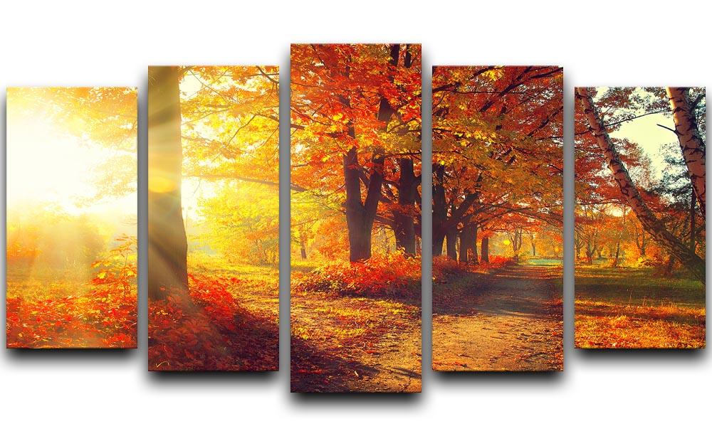 A beautiful 5-split canvas artwork depicting a vibrant autumn park scene with colorful trees and fallen leaves.