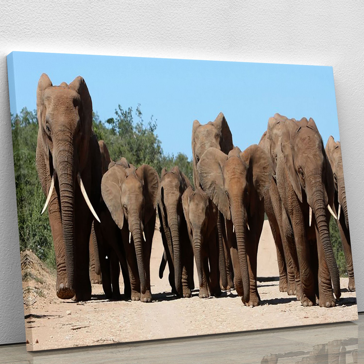 A beautiful canvas print featuring a family herd of African elephants walking gracefully in their natural habitat, showcasing their majestic presence.