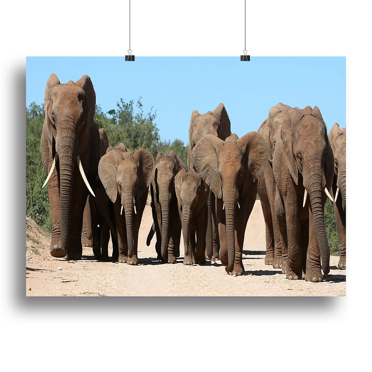 A beautiful canvas print featuring a family herd of African elephants walking gracefully in their natural habitat, showcasing their majestic presence.