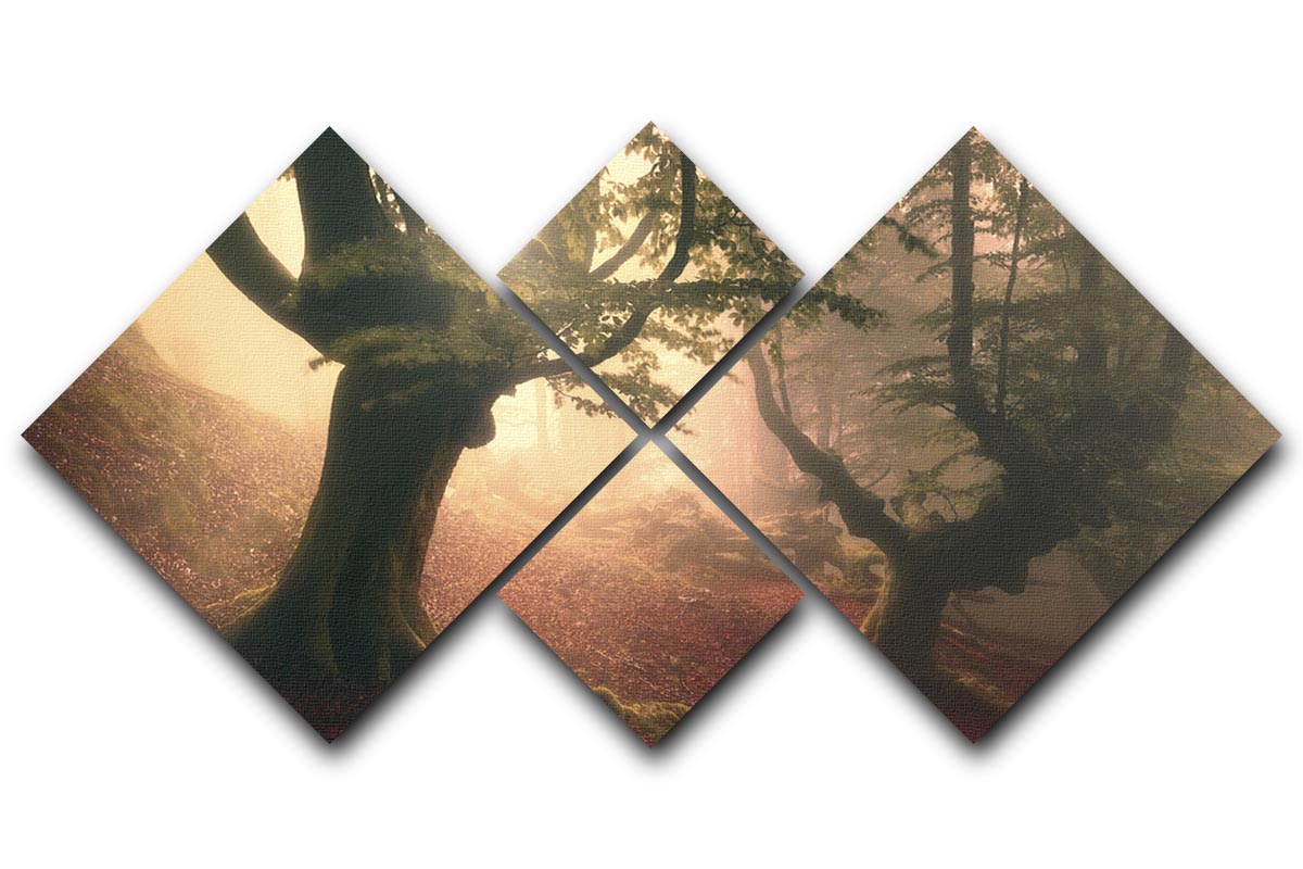 Fangorn Forest 4 Square Multi Panel Canvas artwork featuring a mystical forest scene divided into four equal panels.