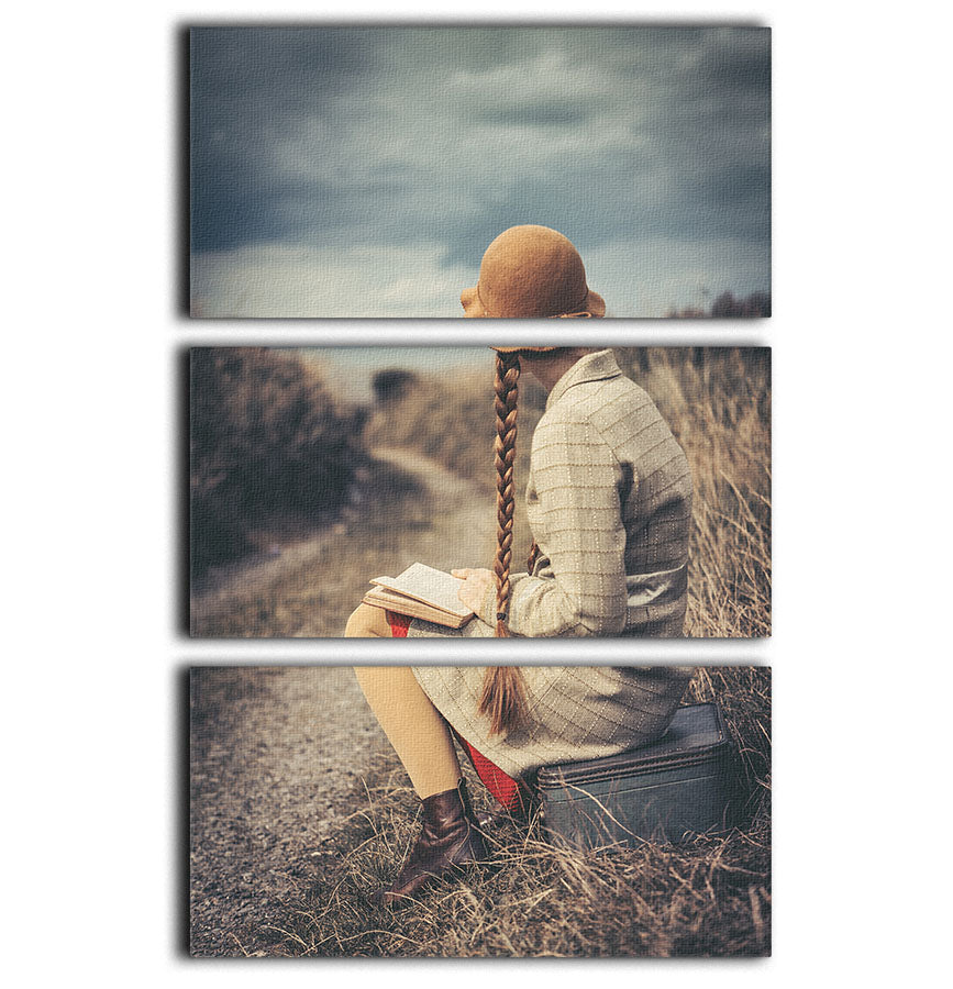 A stunning 3-panel canvas print featuring a captivating design, perfect for enhancing home decor.