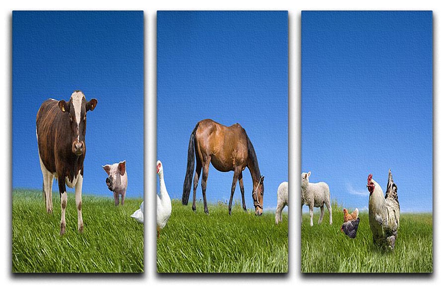 Three-panel canvas print featuring charming farm animals in a cohesive design, perfect for home decor.