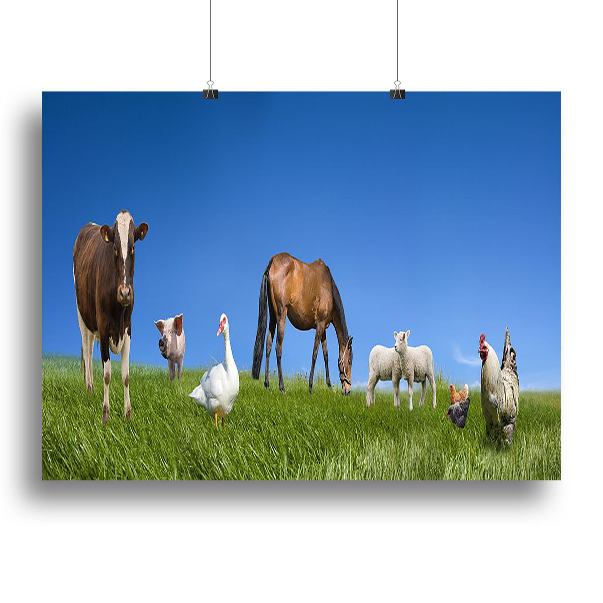 A beautiful canvas print featuring various farm animals, including cows, sheep, and chickens, showcasing vibrant colors and detailed artwork.