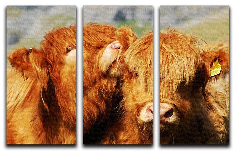A beautiful 3-panel canvas print featuring farm cows, showcasing vibrant colors and intricate details, perfect for home decor.