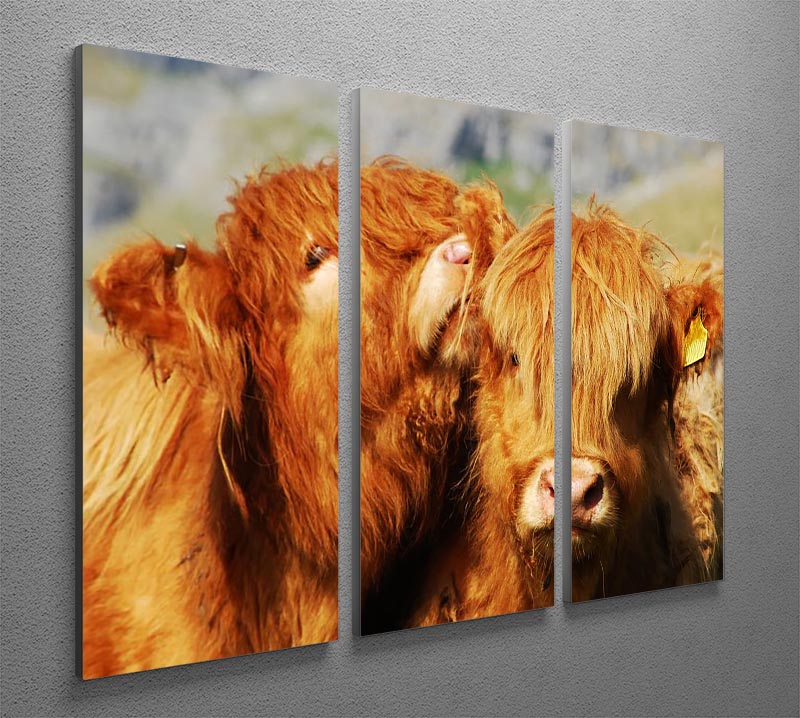 A beautiful 3-panel canvas print featuring farm cows, showcasing vibrant colors and intricate details, perfect for home decor.