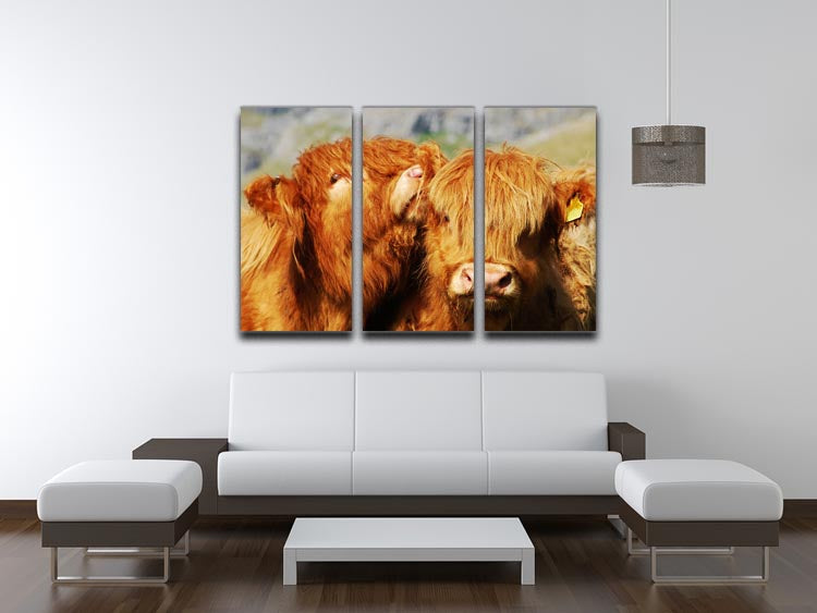 A beautiful 3-panel canvas print featuring farm cows, showcasing vibrant colors and intricate details, perfect for home decor.