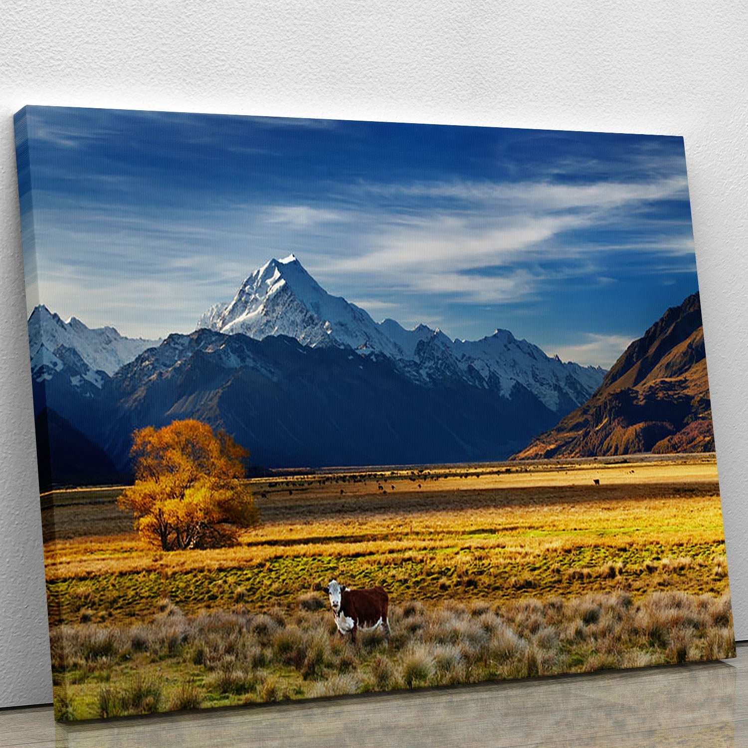Canvas print featuring a picturesque farmland scene with grazing cows and Mount Cook in the background, showcasing vibrant colors and serene nature.