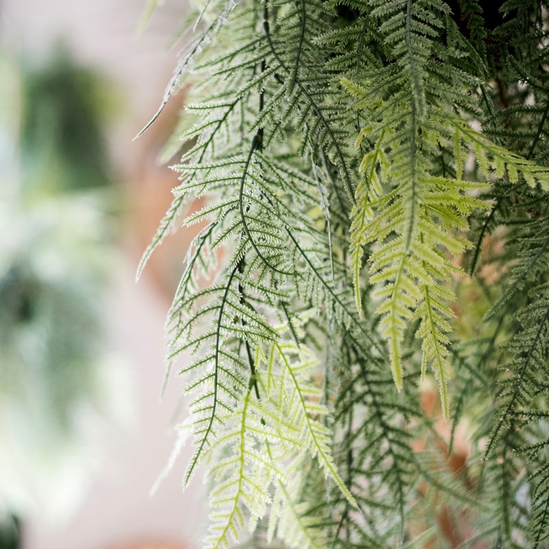 A lush Faux Artificial Asparagus Setaceus Hanging Fern Plant, showcasing vibrant green leaves and a realistic design, perfect for home decor.