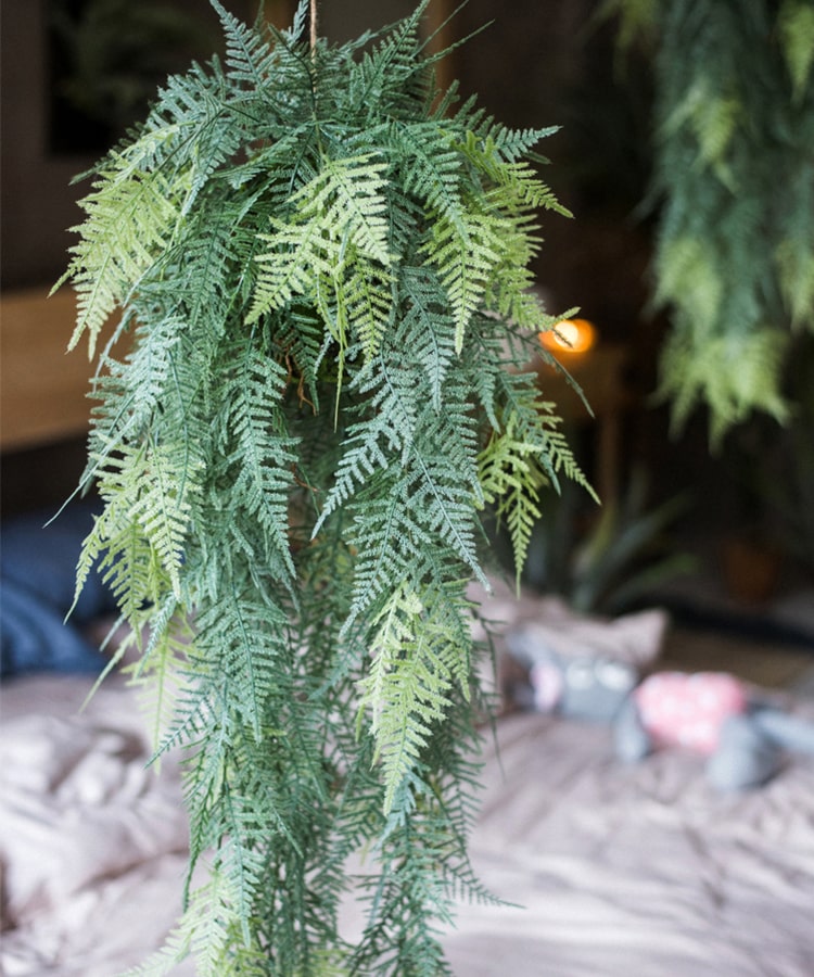 A lush Faux Artificial Asparagus Setaceus Hanging Fern Plant, showcasing vibrant green leaves and a realistic design, perfect for home decor.