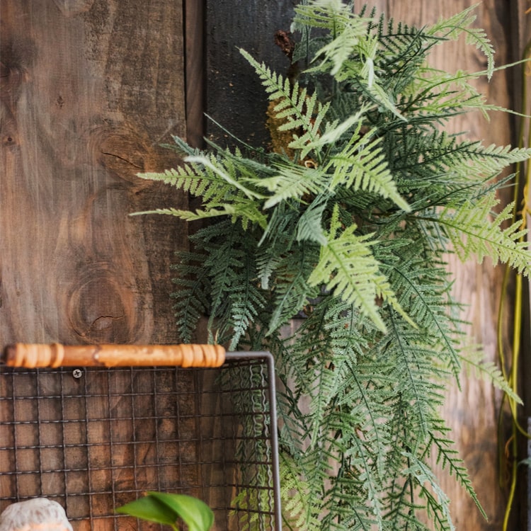 Faux Artificial Asparagus Setaceus hanging decoration on a wooden board, showcasing realistic green fronds.