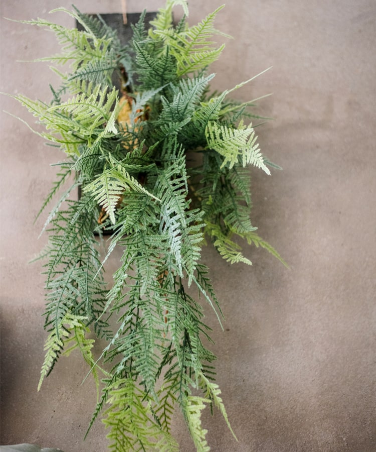 Faux Artificial Asparagus Setaceus hanging decoration on a wooden board, showcasing realistic green fronds.