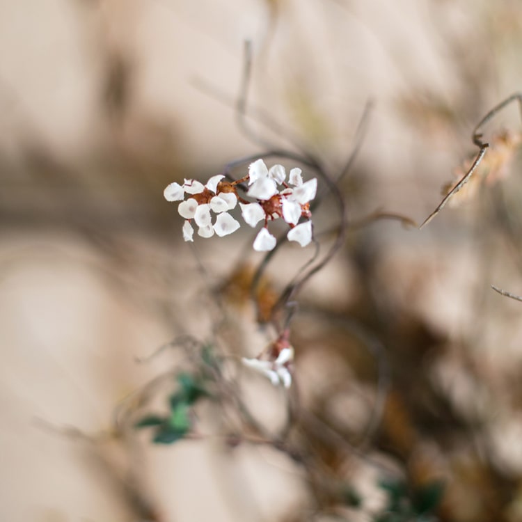 Faux Artificial Colorful Baby's-Breath Vine Stem, 27 inches tall, featuring vibrant blue, pink, white, and yellow flowers for elegant decor.