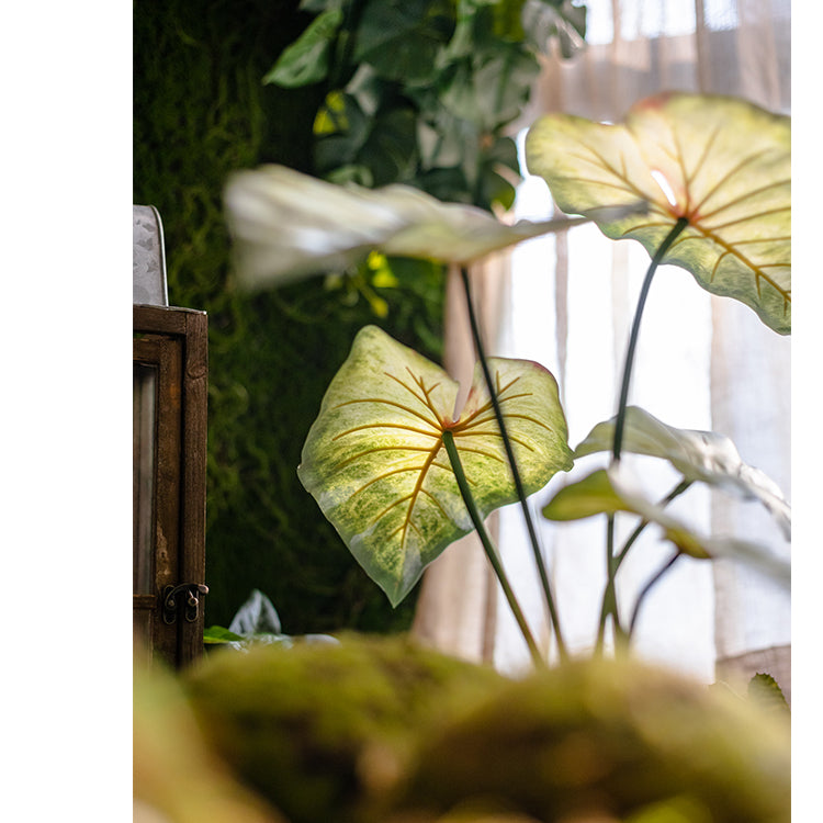 A 19-inch tall faux artificial Alocasia plant with realistic green leaves, perfect for home or office decor.