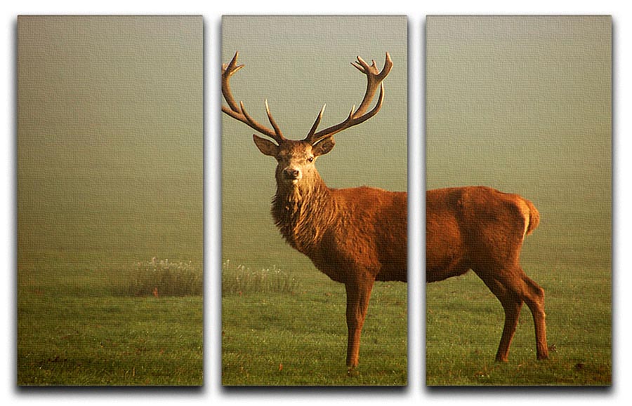 Fawn 3 Split Panel Canvas Print showcasing three elegant canvases with a cohesive design, perfect for enhancing home decor.