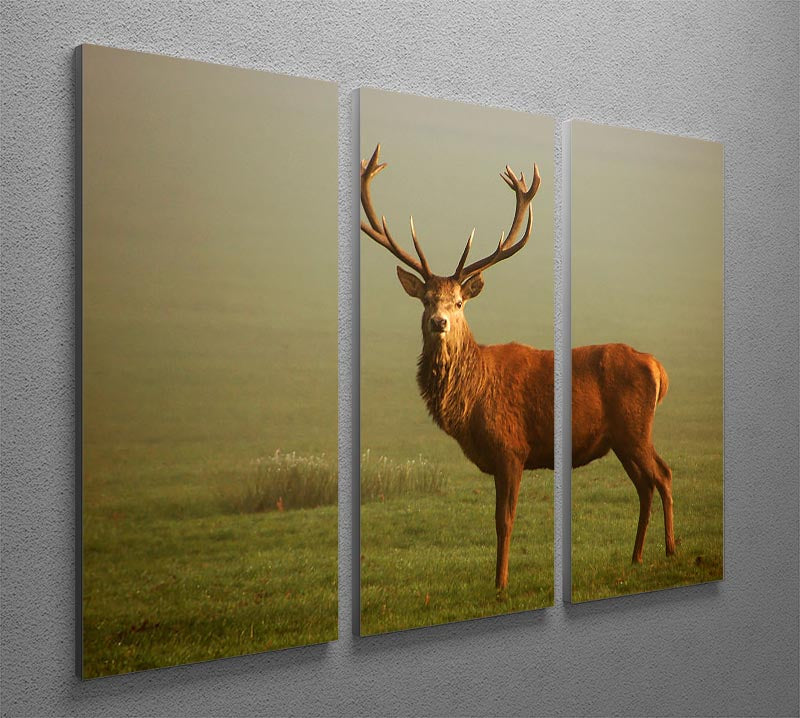Fawn 3 Split Panel Canvas Print showcasing three elegant canvases with a cohesive design, perfect for enhancing home decor.