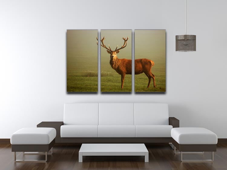 Fawn 3 Split Panel Canvas Print showcasing three elegant canvases with a cohesive design, perfect for enhancing home decor.