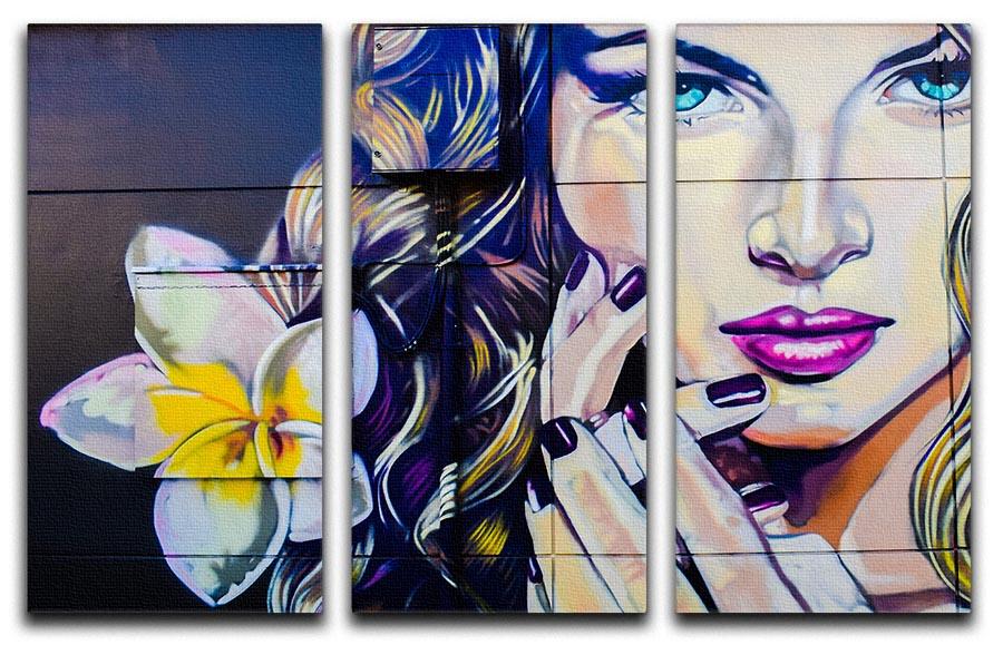 Femme Fatale Graffiti 3 Split Panel Canvas Print showcasing vibrant colors and modern design, perfect for home decor.