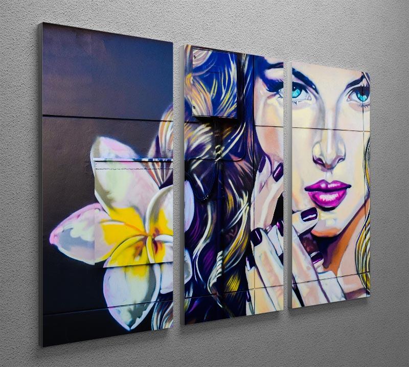 Femme Fatale Graffiti 3 Split Panel Canvas Print showcasing vibrant colors and modern design, perfect for home decor.